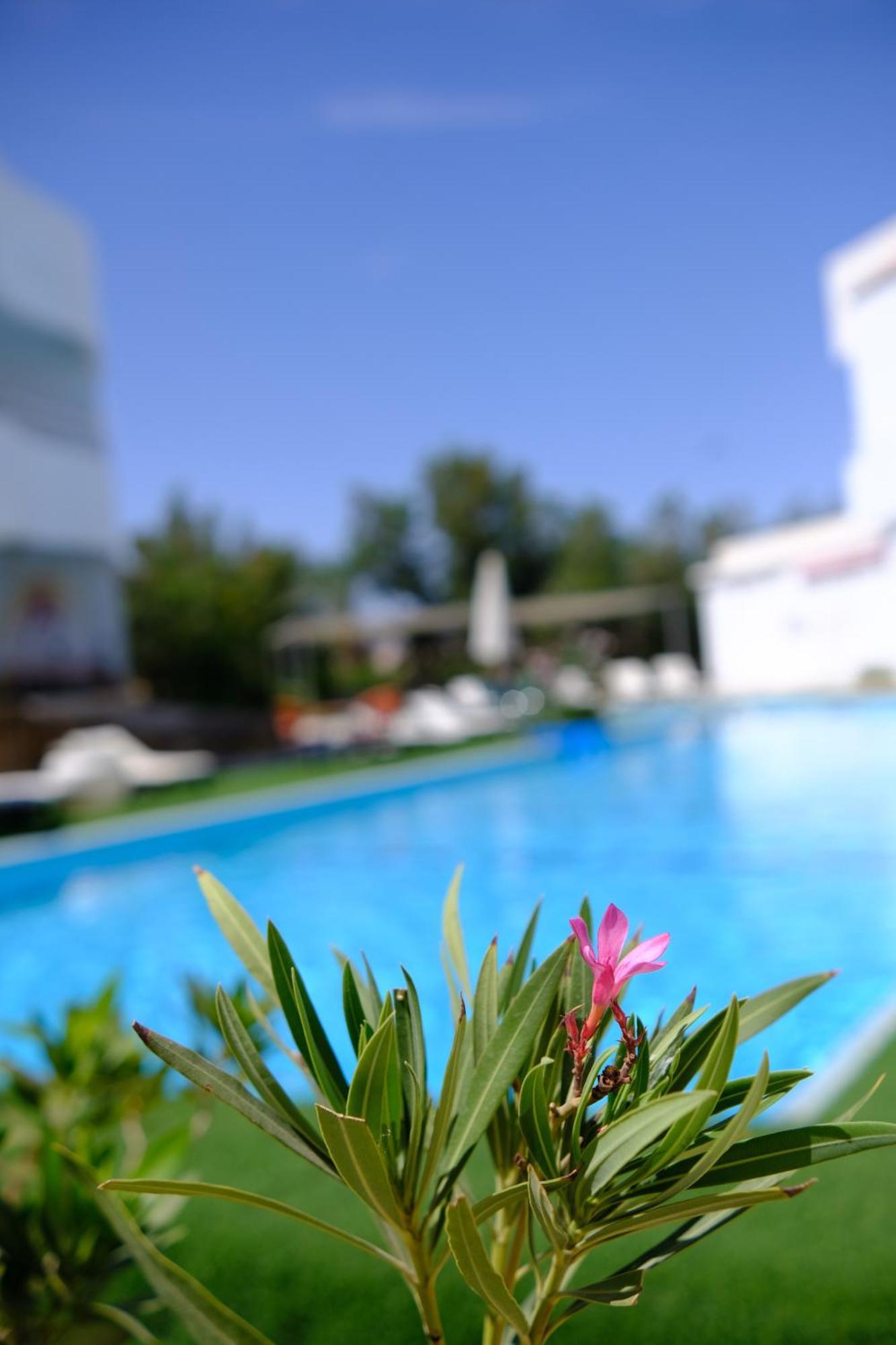 Viking Club Hotel Şarm El-Şeyh Dış mekan fotoğraf